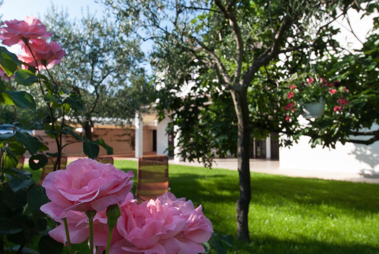 Weis Apartments Rovinj Habitación foto
